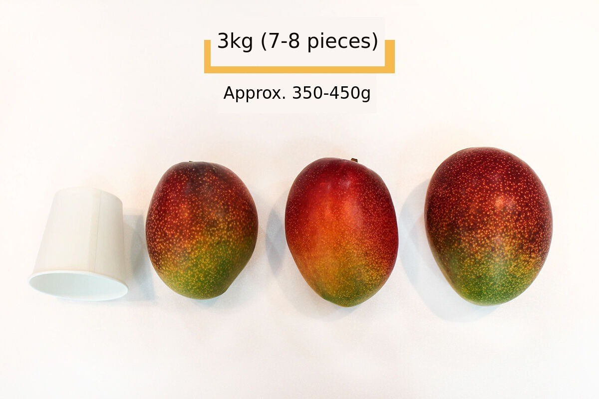 이미지 설명이 없습니다.