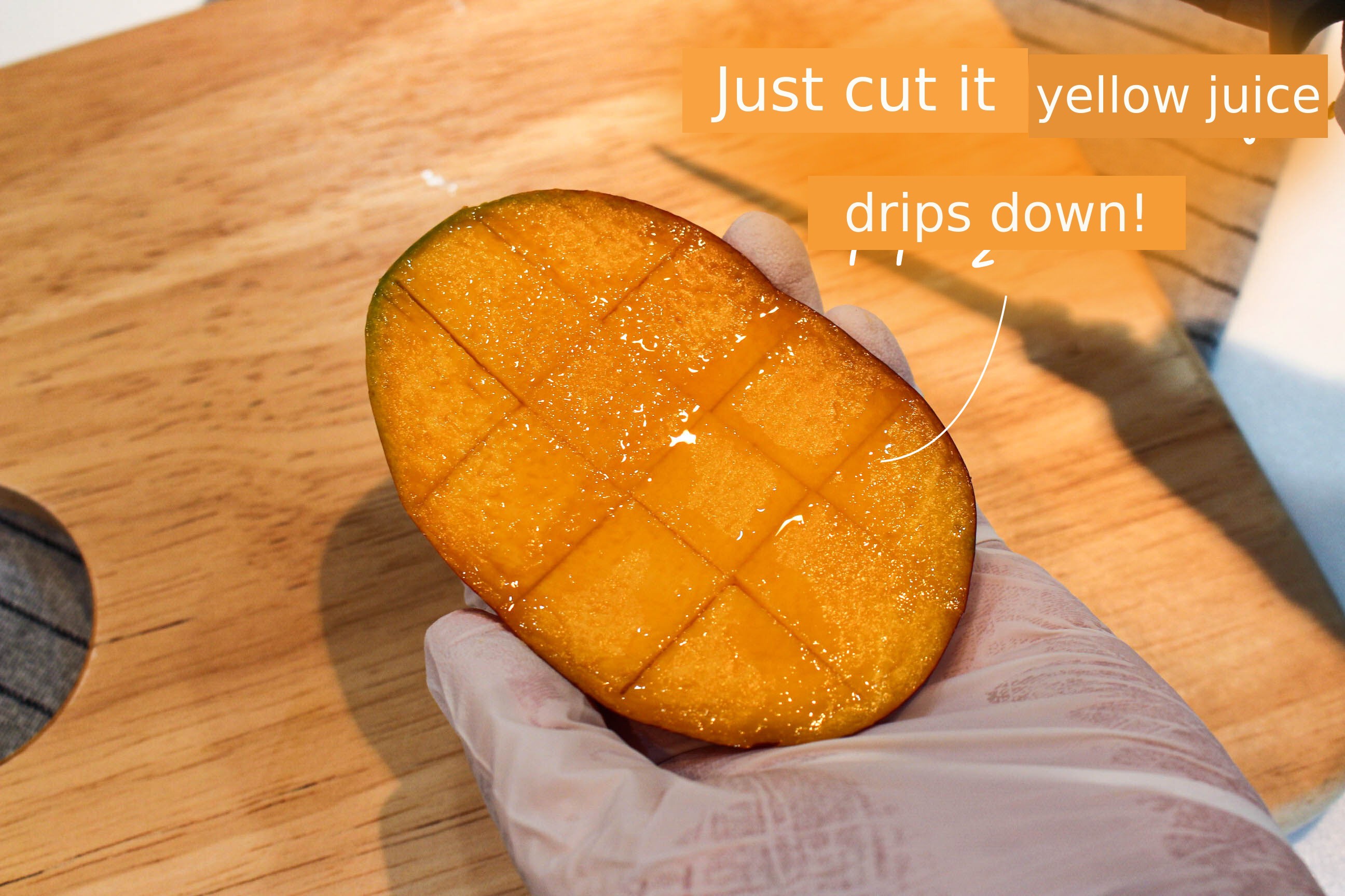 이미지 설명이 없습니다.