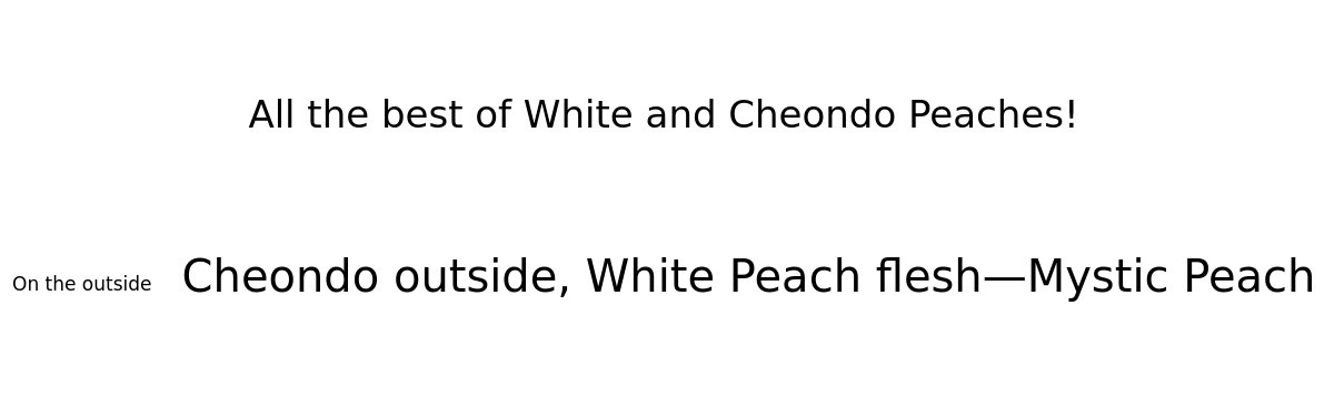 이미지 설명이 없습니다.