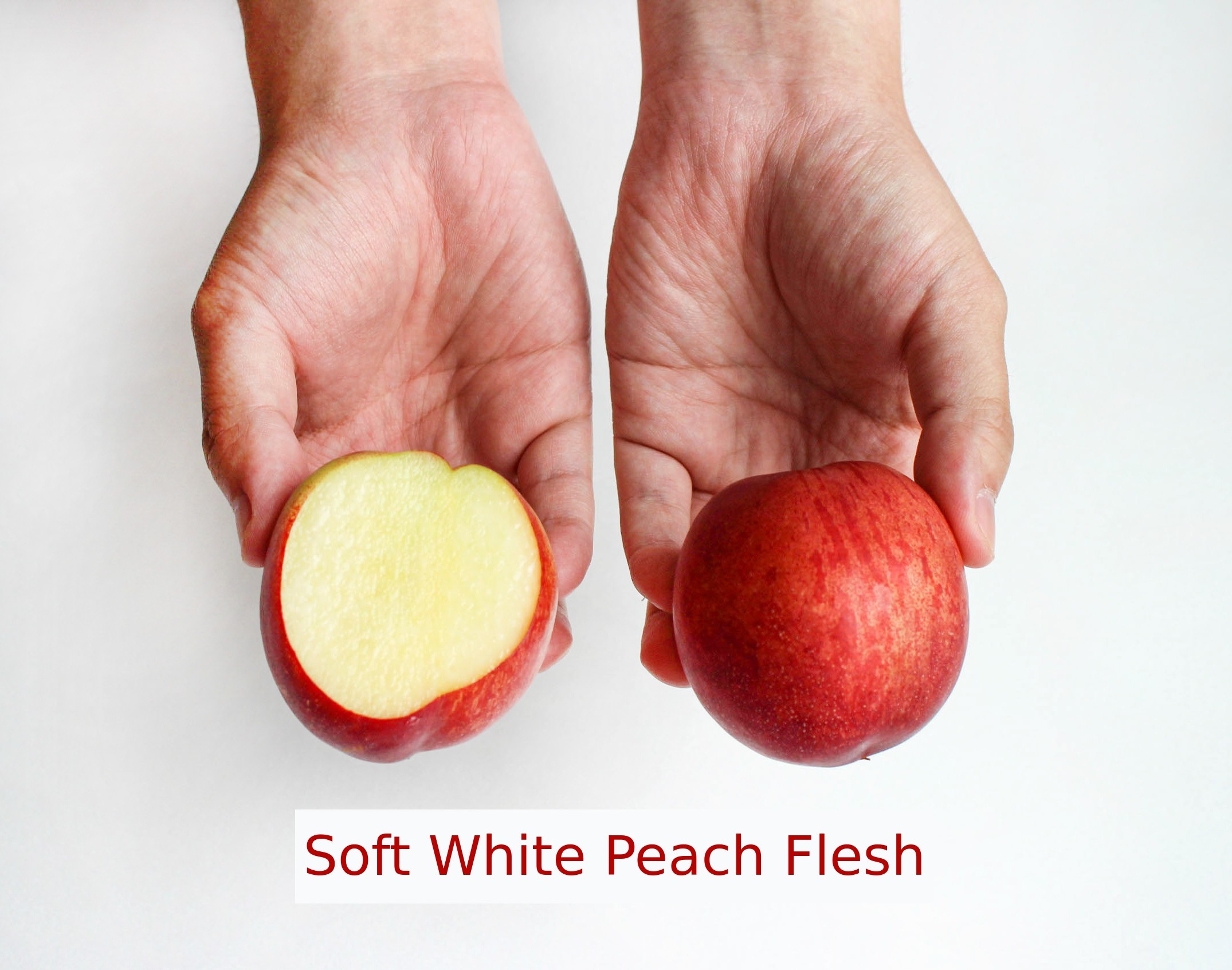 이미지 설명이 없습니다.