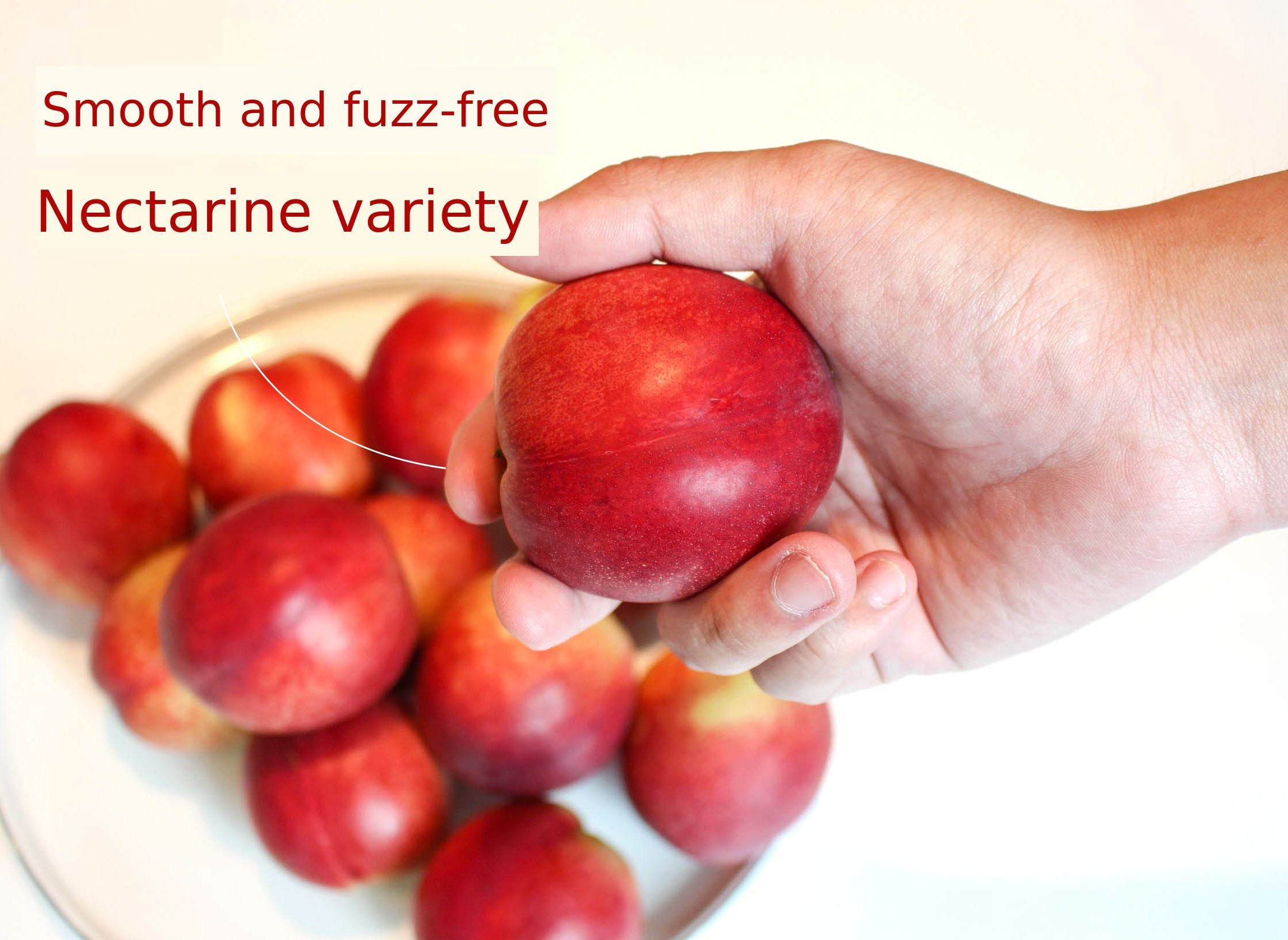 이미지 설명이 없습니다.