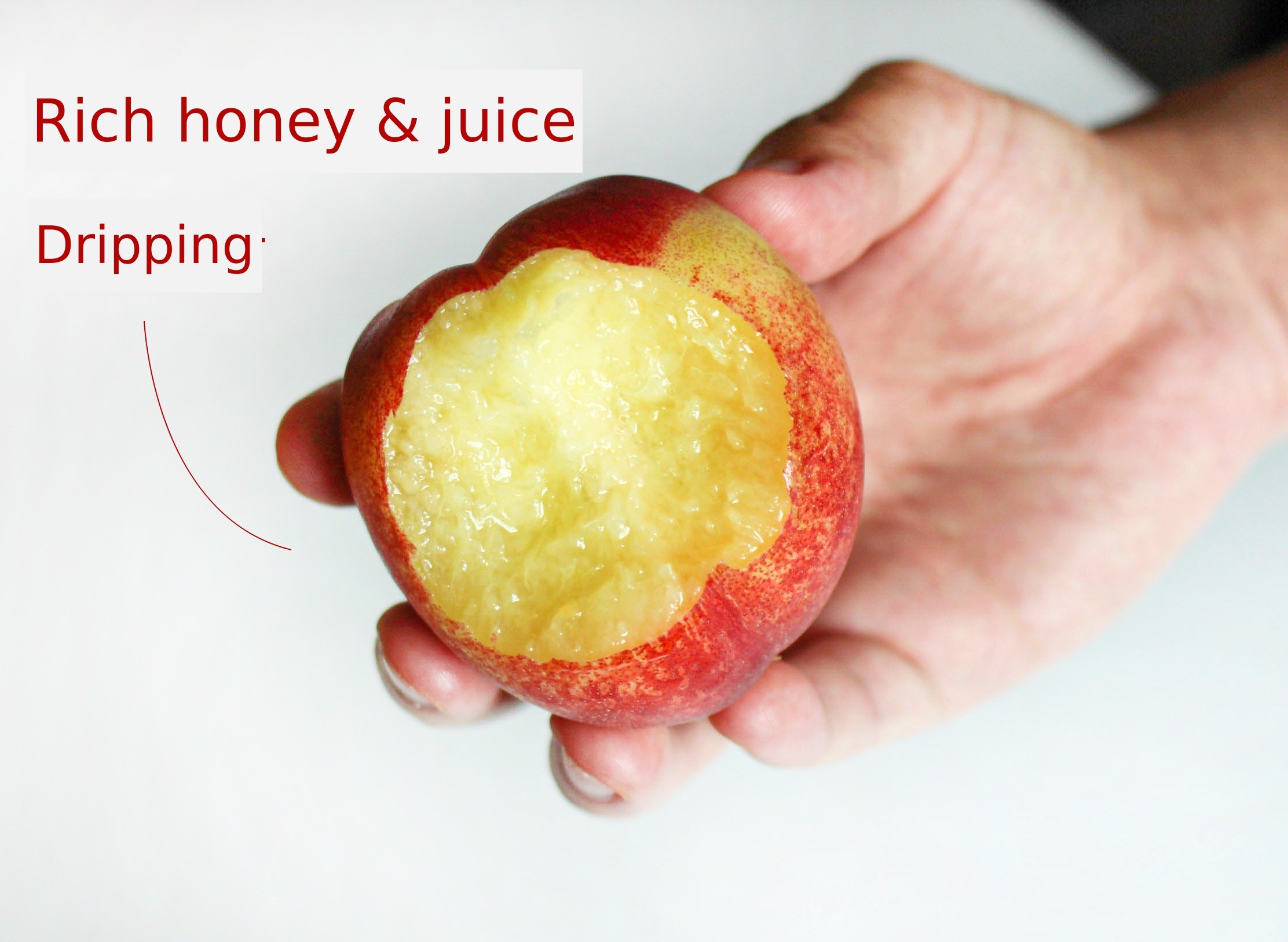 이미지 설명이 없습니다.