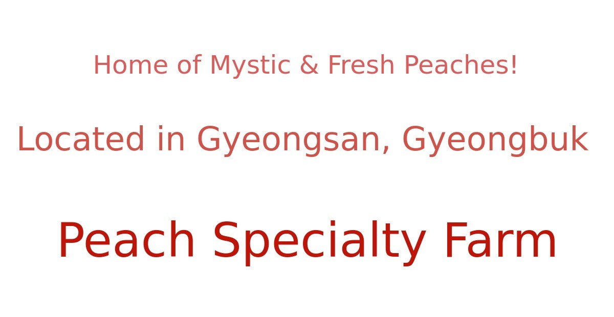 이미지 설명이 없습니다.