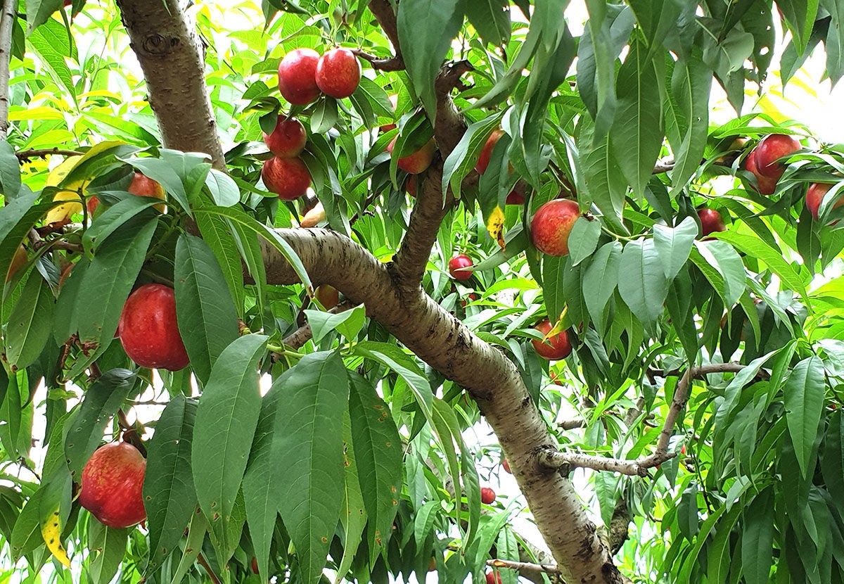 이미지 설명이 없습니다.