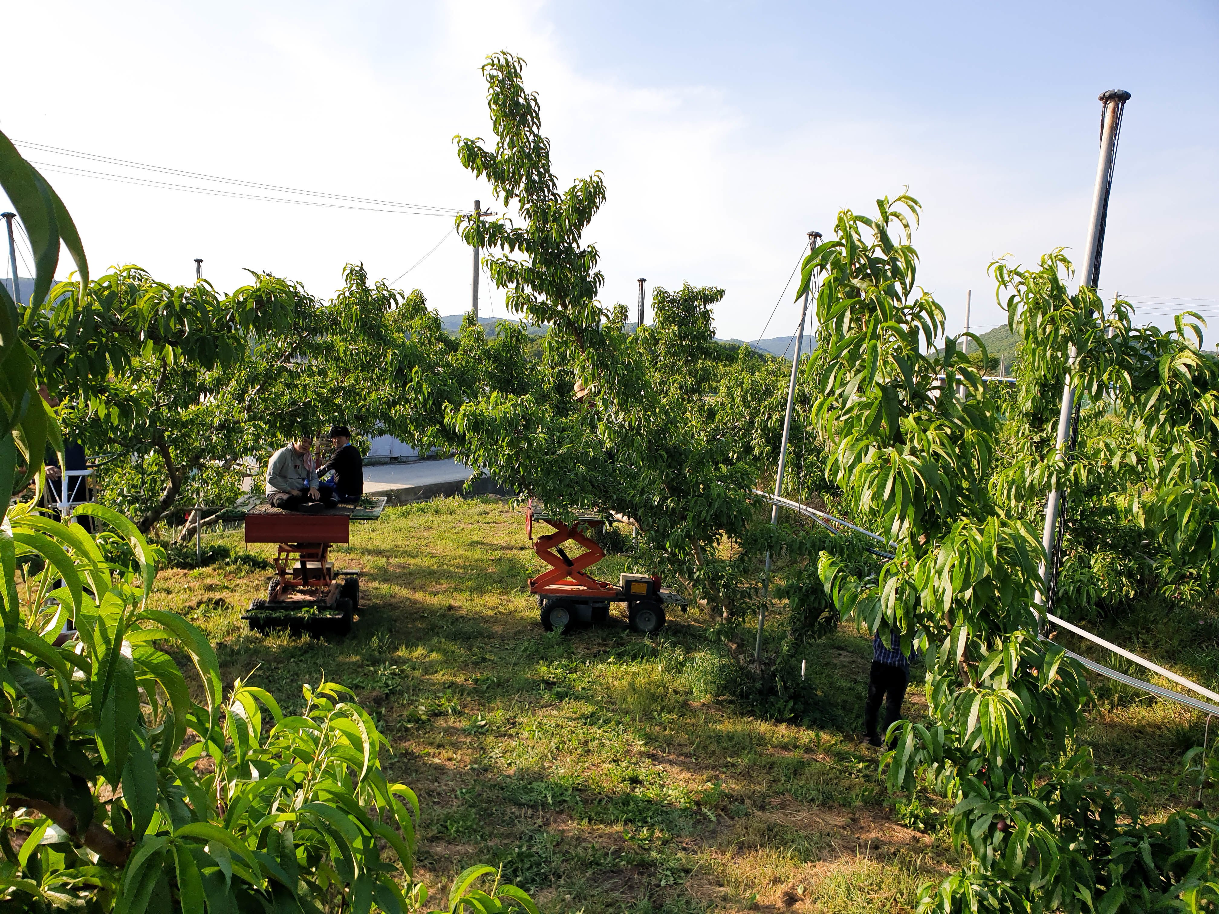 이미지 설명이 없습니다.