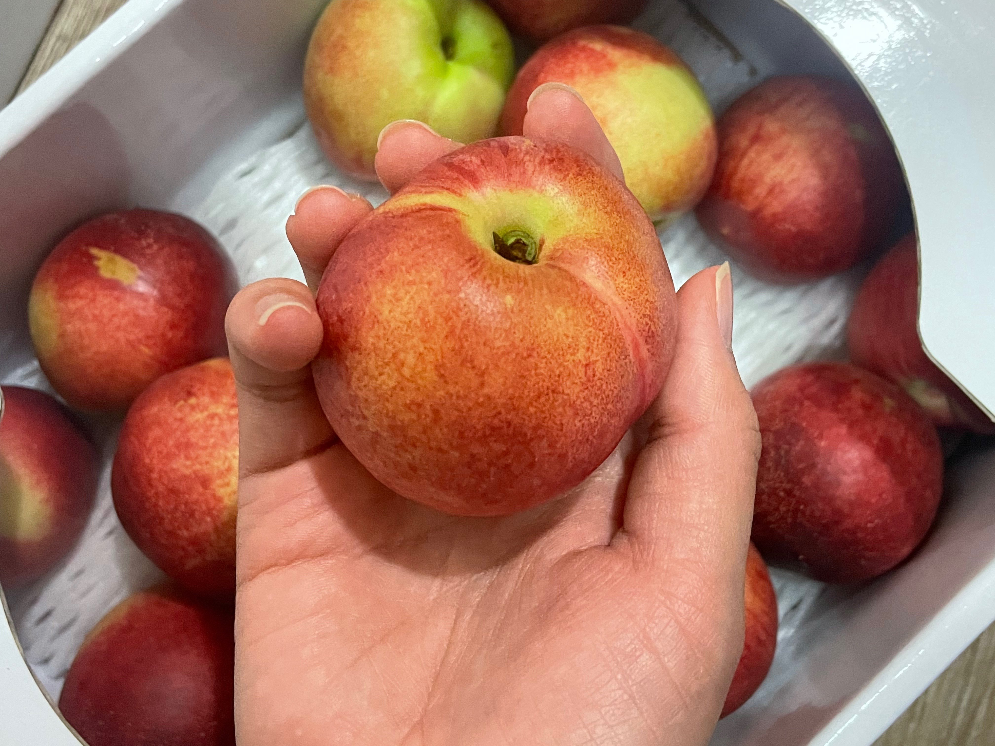 이미지 설명이 없습니다.