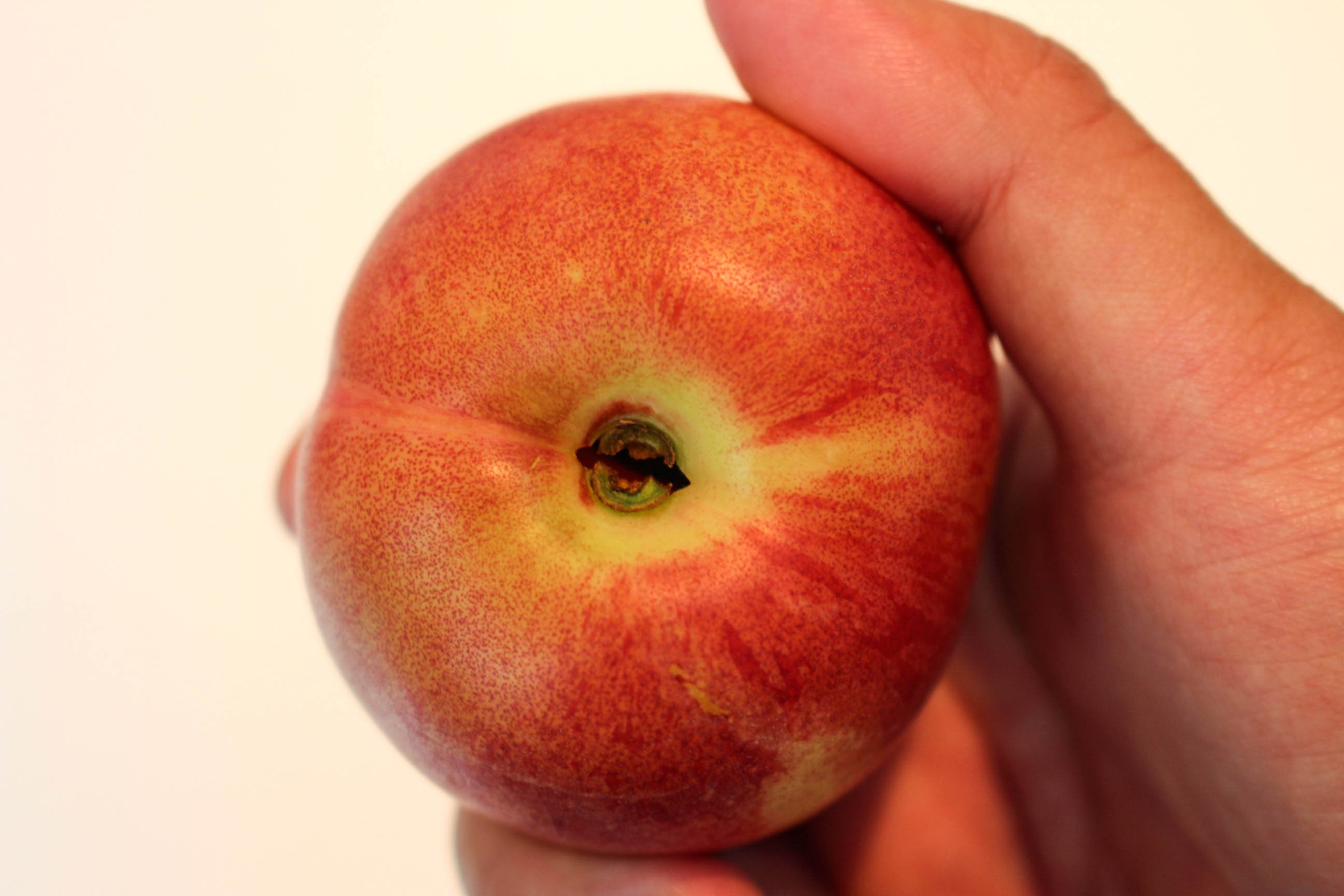 이미지 설명이 없습니다.