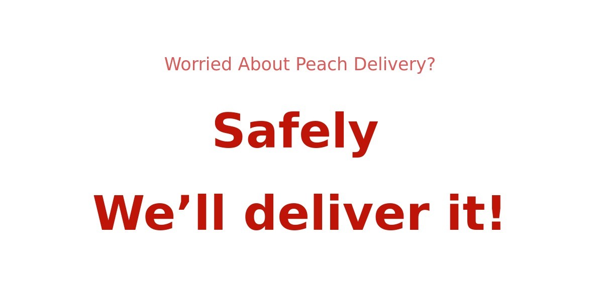 이미지 설명이 없습니다.