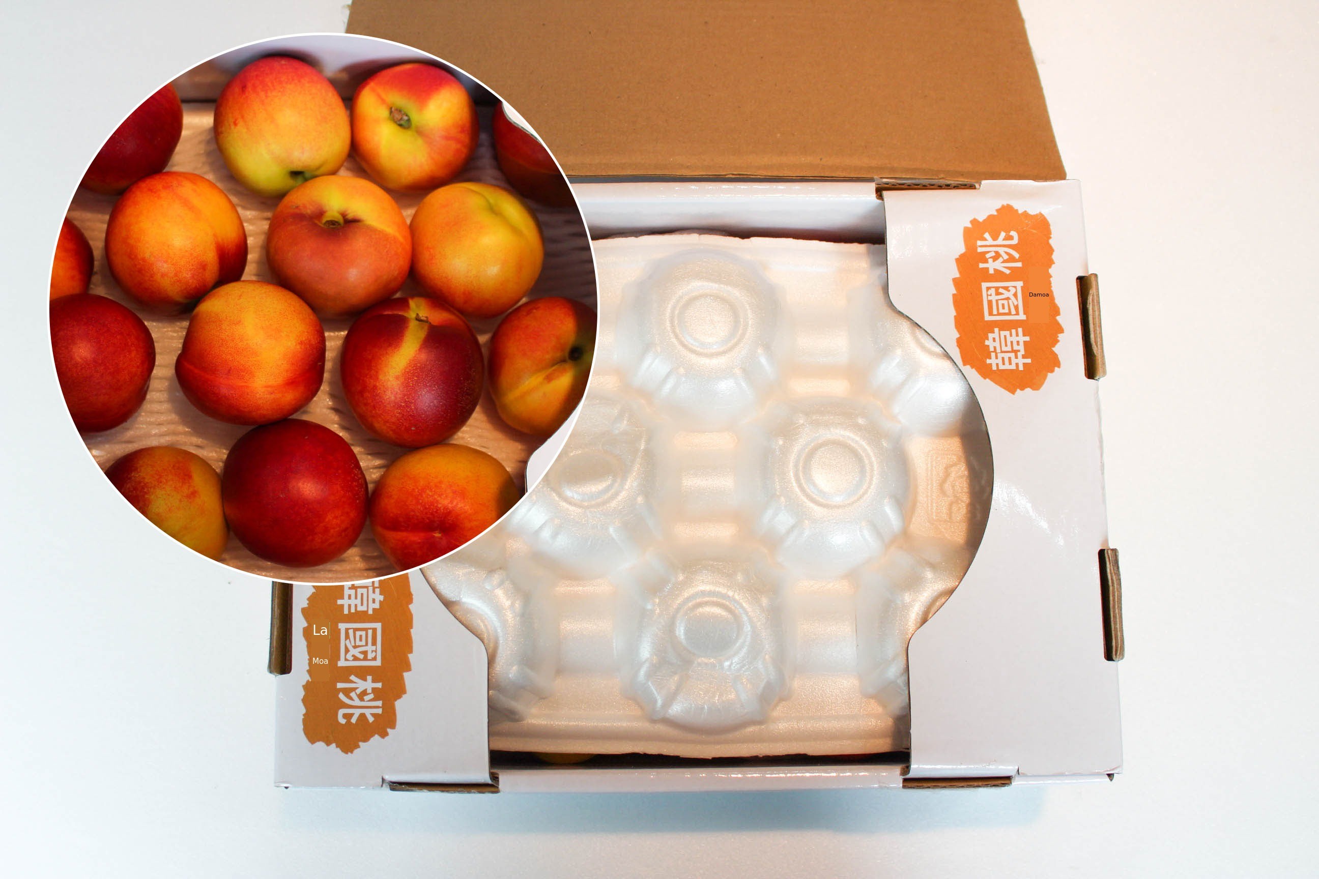 이미지 설명이 없습니다.