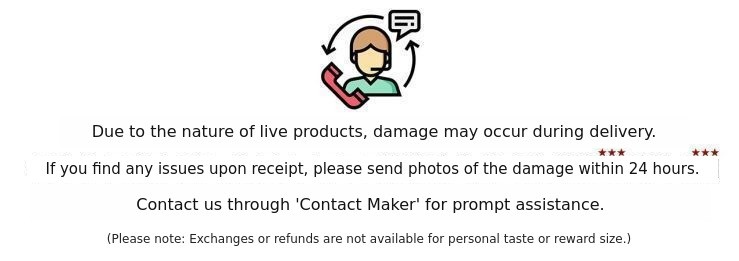 이미지 설명이 없습니다.