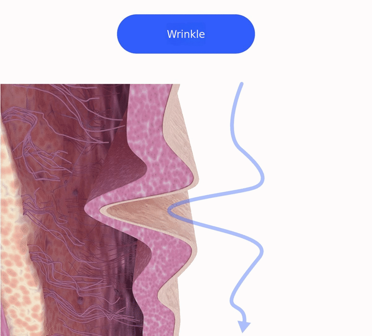 ezgif.com-crop.gif