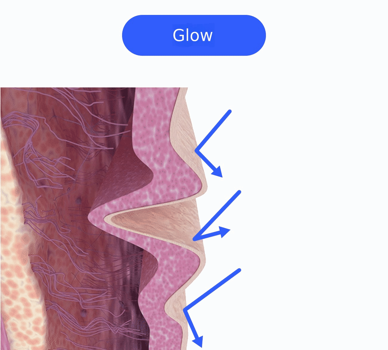 02_광채 (gifP.gif