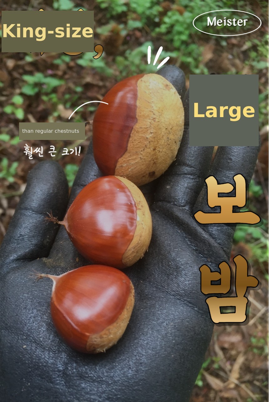 734737.png