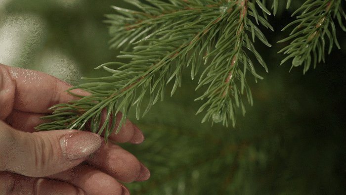 C0114_16.gif