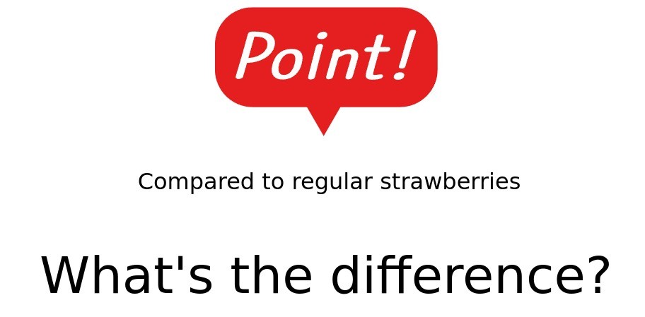 54949.png