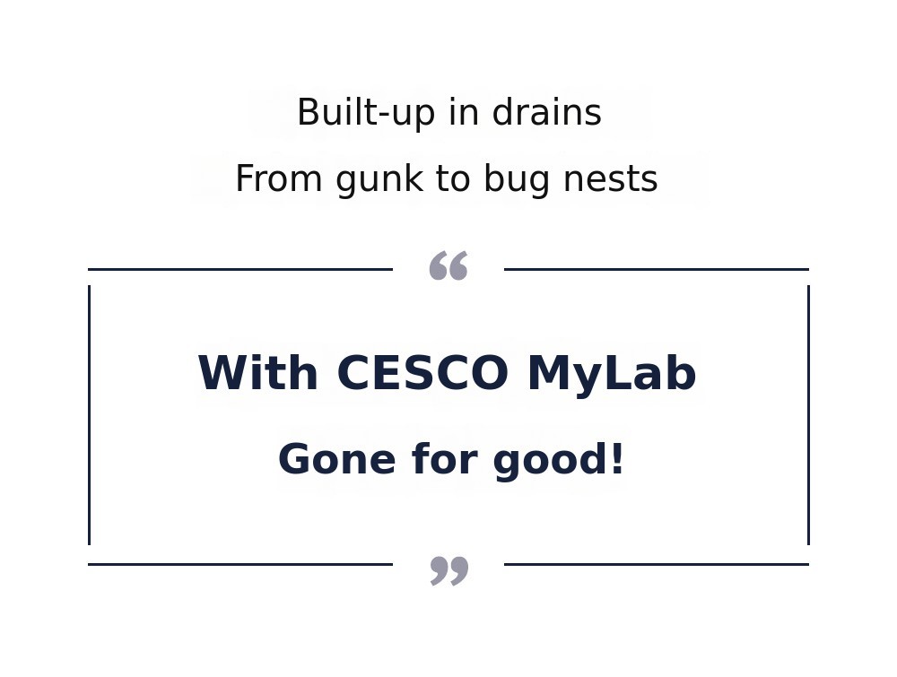 CESCO_3-4.jpg