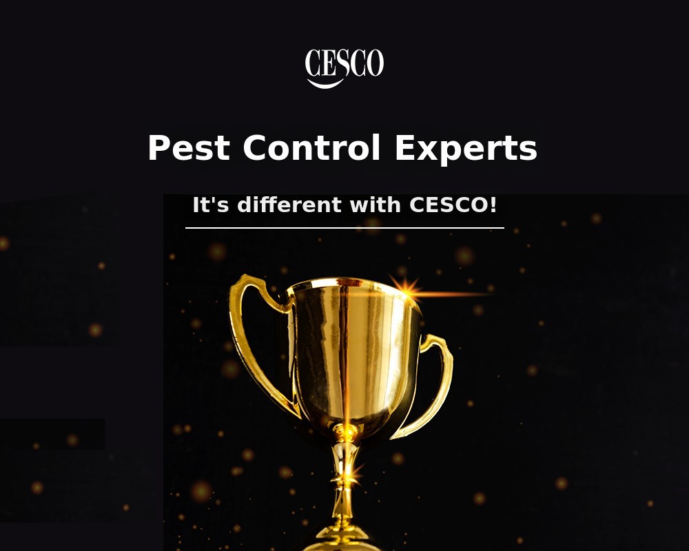 re_CESCO_3-3.jpg