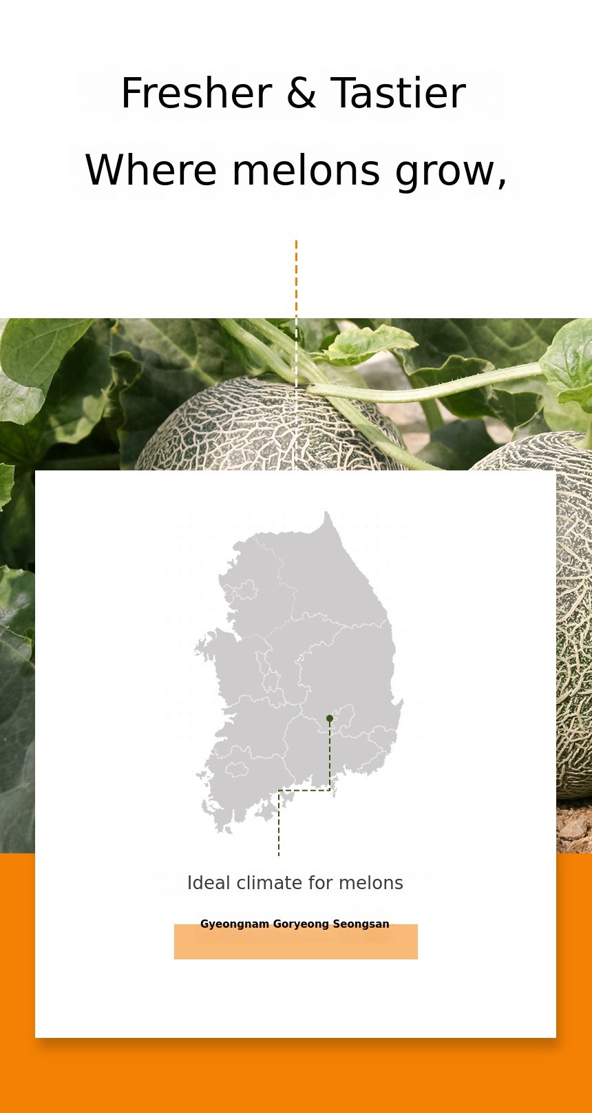 농장.jpg