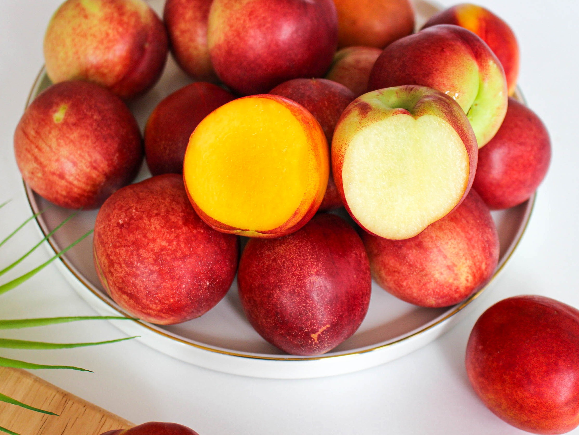 이미지 설명이 없습니다.