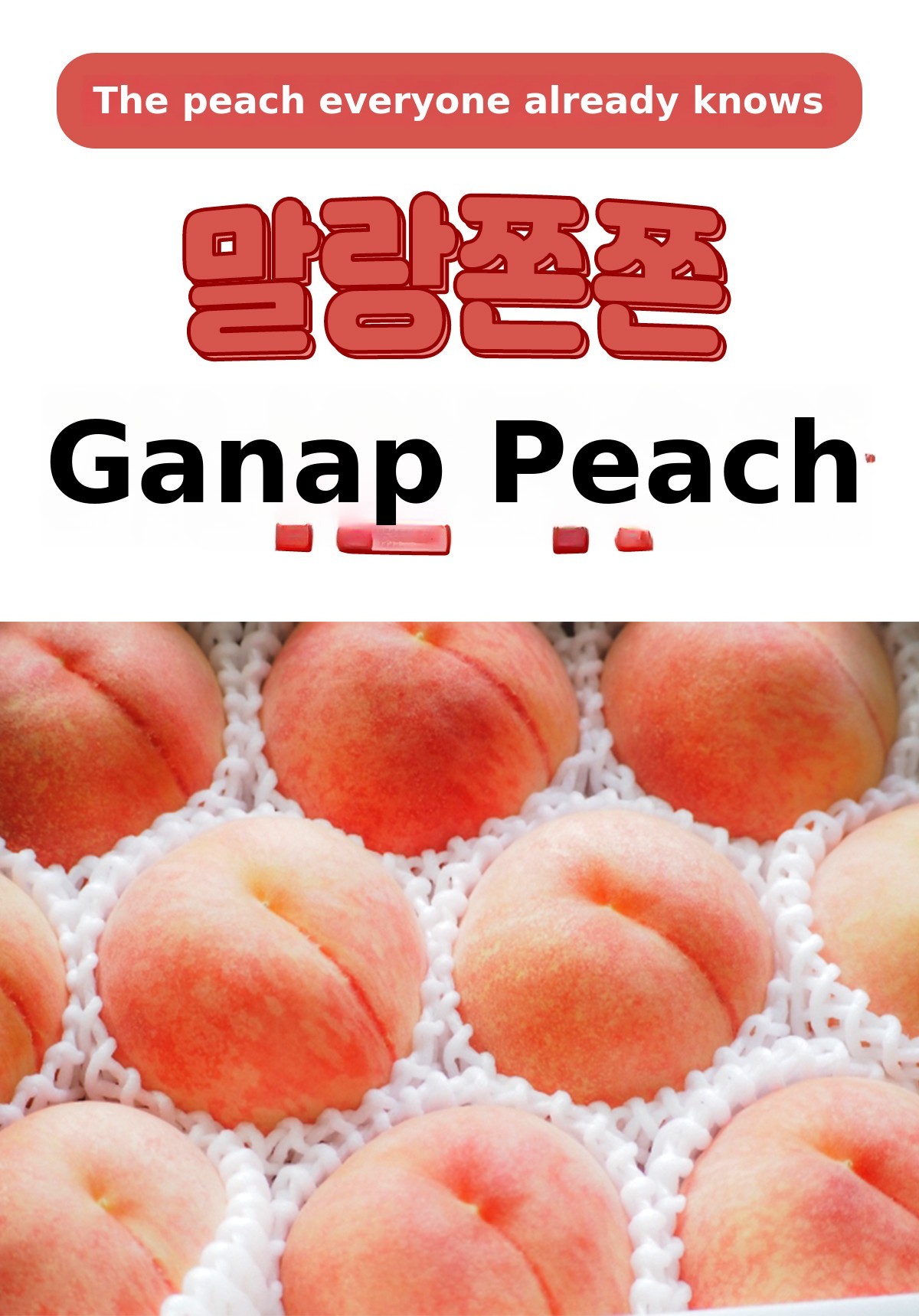 プレミアム白桃｜みんなの好みに響く、ジューシーでぷるぷる食感の甘熟