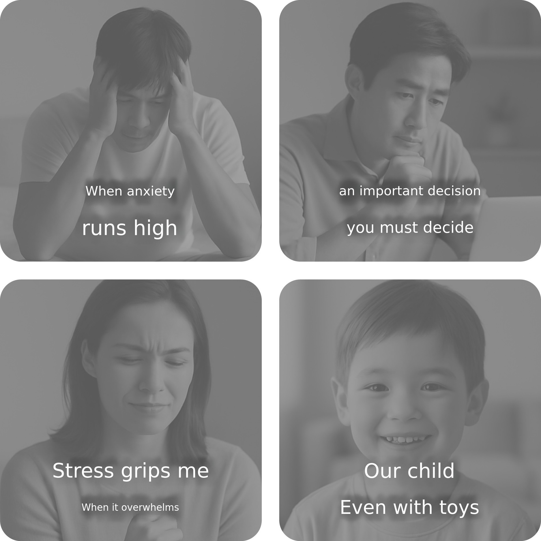 이미지 설명이 없습니다.