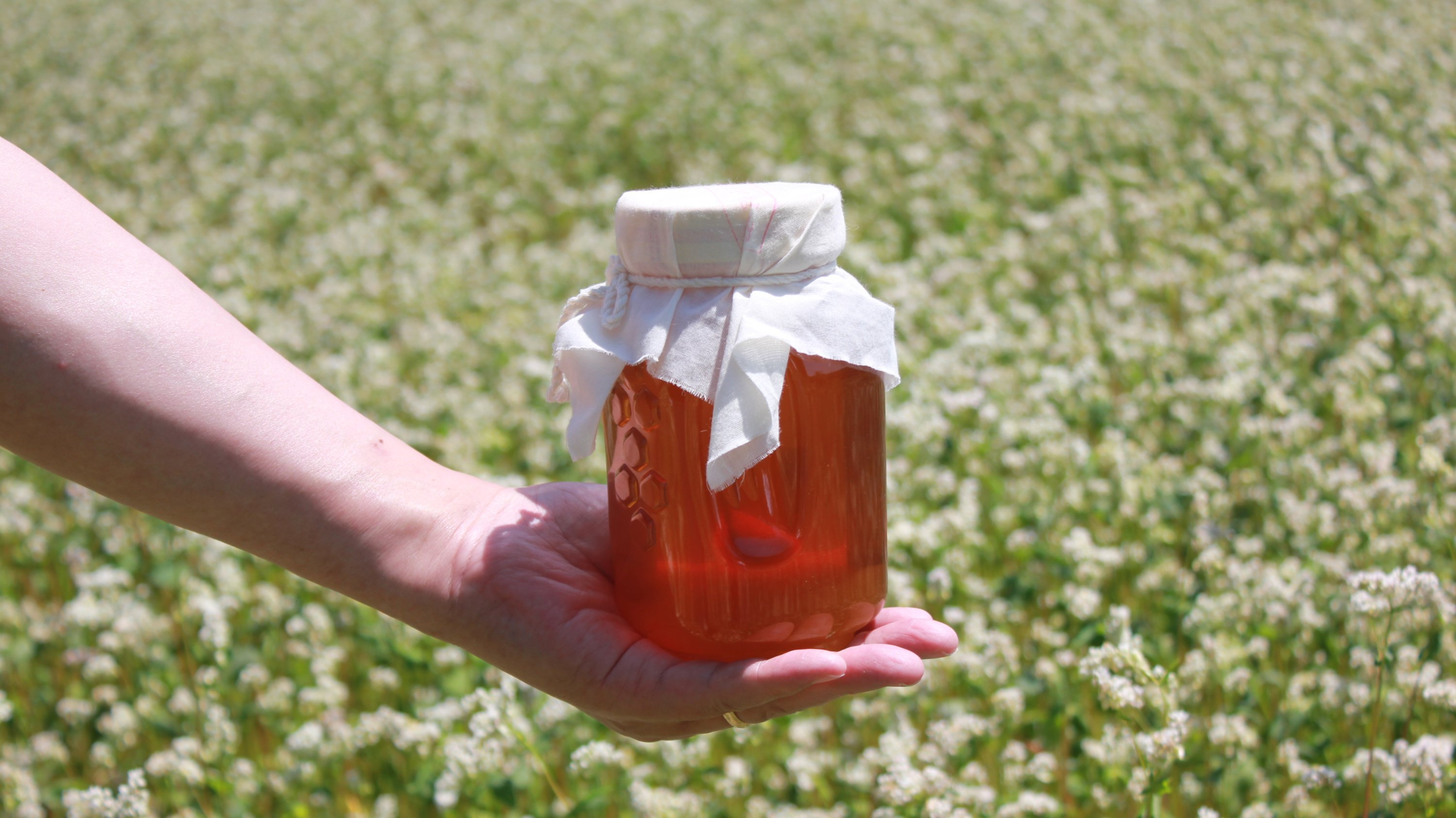 No more energy worries this summer! Once a year, enjoy the premium aged honey made with the farmer's heartfelt dedication.