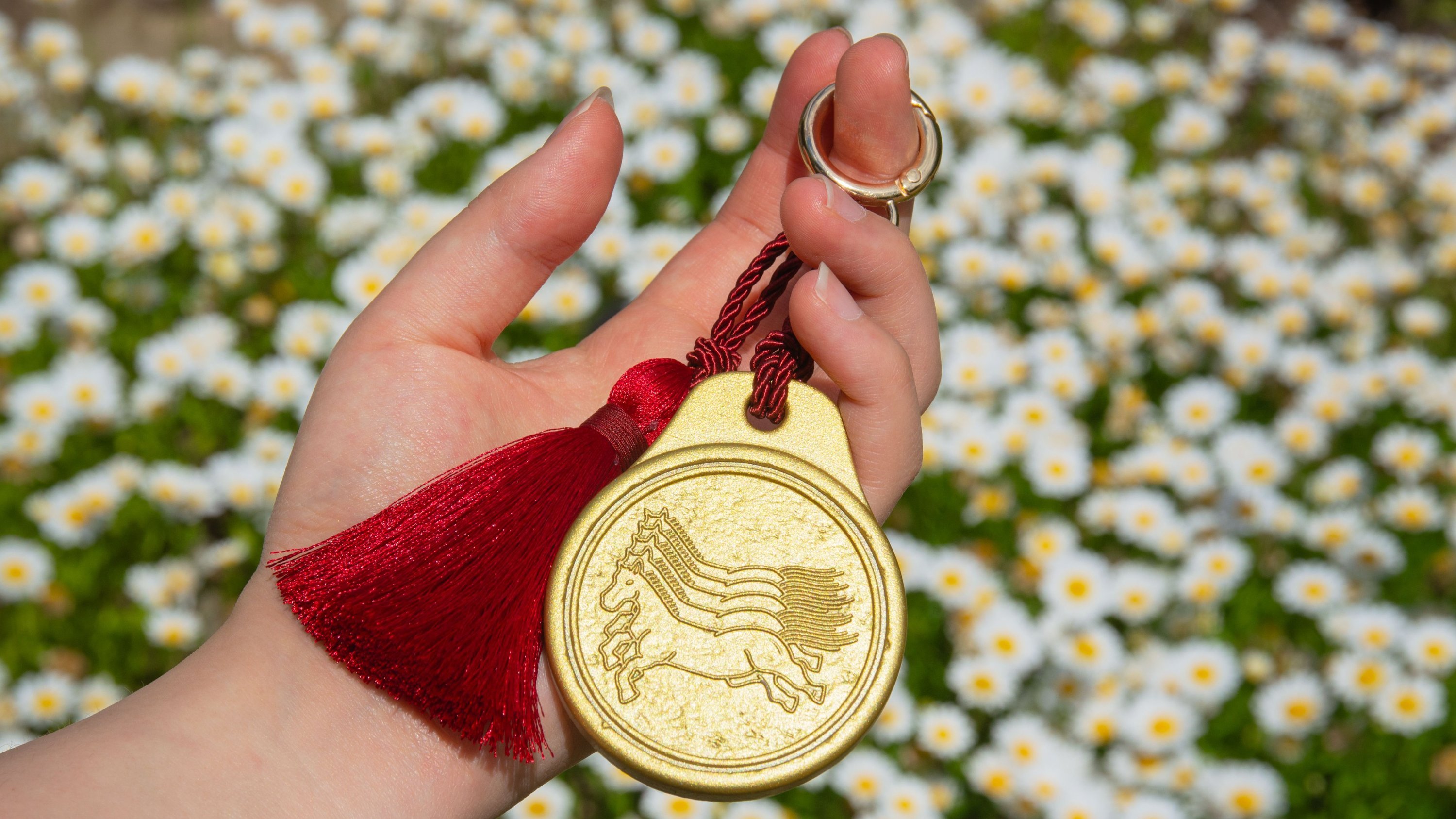 Mapae Transportation Card, Joseon's hip Mapae is reborn as a transportation card.