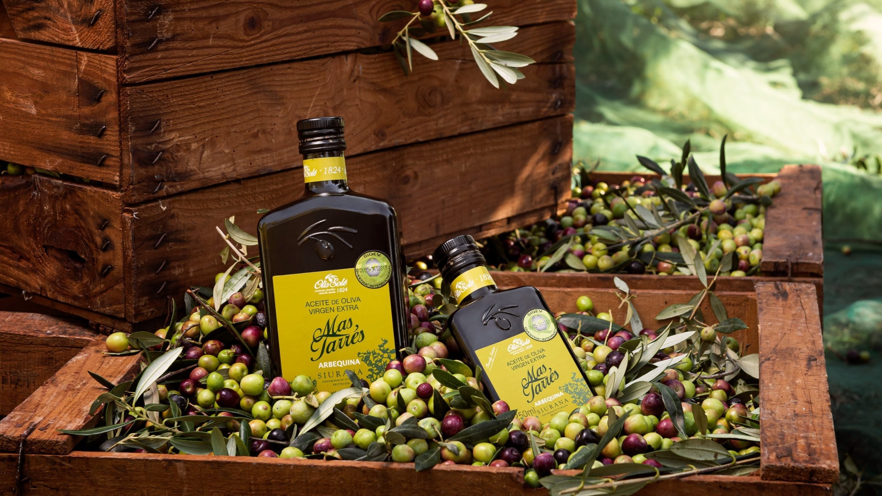 [Acidity 0.14%] Delicious single-variety olive oil from a 200-year-old farm in Spain.