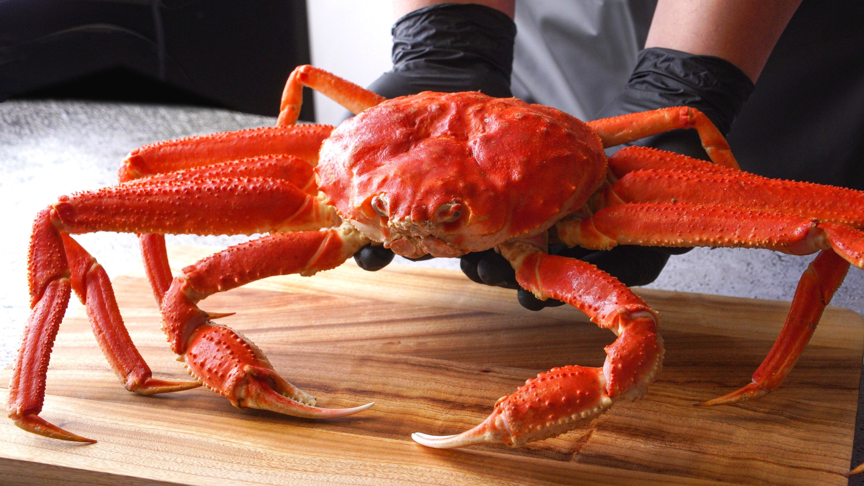 Russian Titan Crab – Unmatched in size and taste compared to red crab.