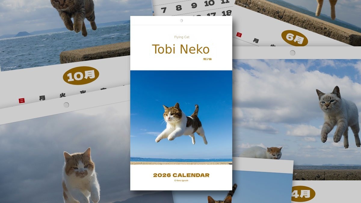 オーダー受付　猫パネル㉒　5/1 空飛ぶ猫「トビネコ」2026年カレンダー by HANJU | wadiz