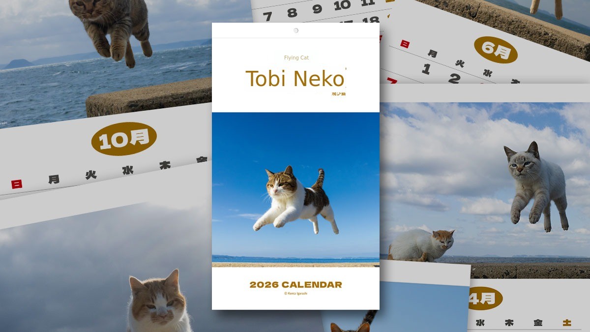 空飛ぶ猫「トビネコ」2026年カレンダー by HANJU | wadiz