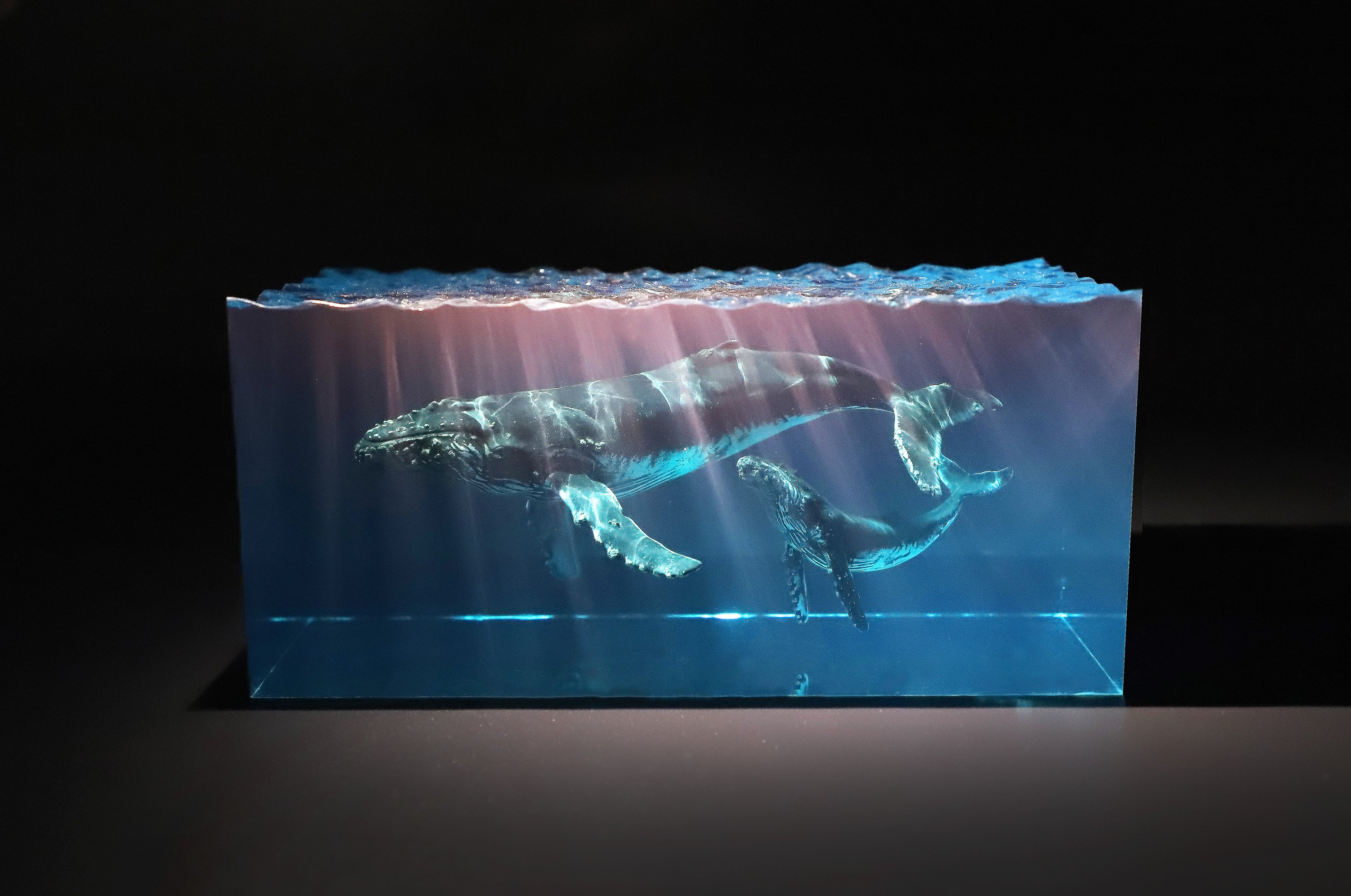 Humpback Whale Resin Object & Mood Lamp Capturing the Ocean's