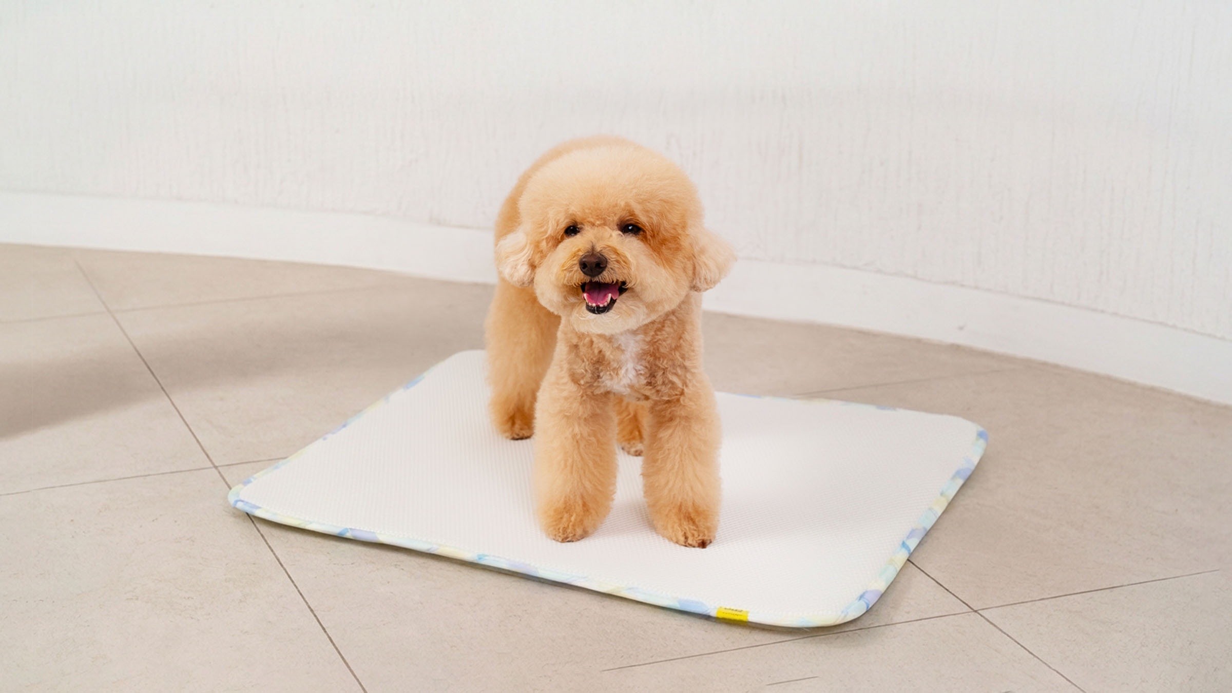 Clean in 1 Minute! Eco-Friendly Onola Dog Pee Pads That Feel Brand New Every Day