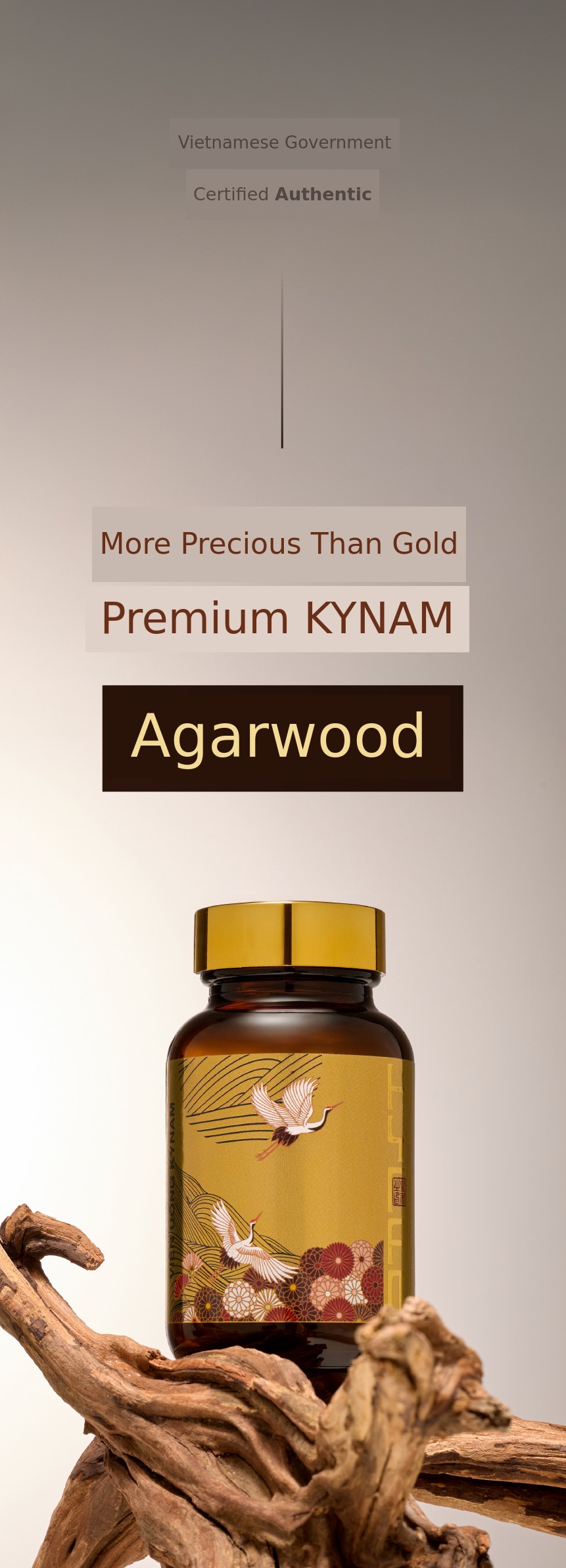 Premium KYNAM Agarwood Softgels from the Sacred Land of Vietnamese ...