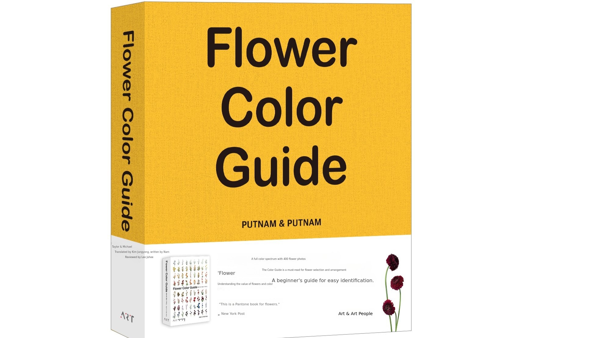 The World of Floral Colors