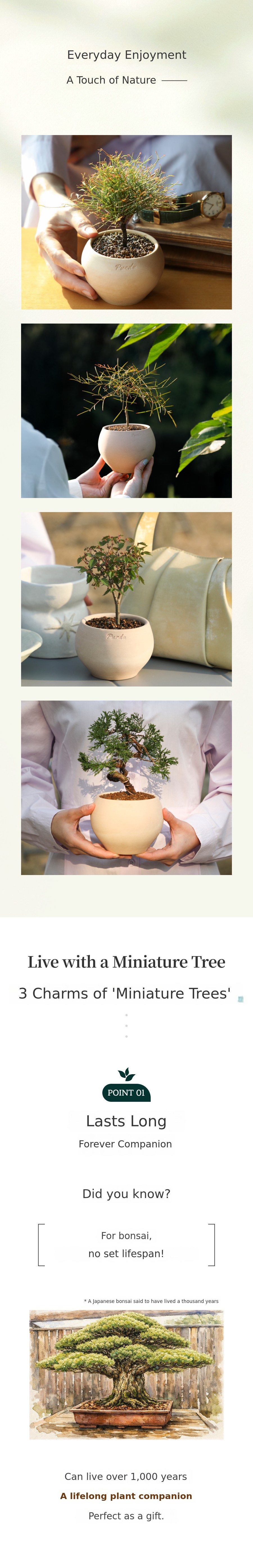 [100K+] Ding Dong! Spring Bliss Pureuda Miniature Tree x Pastel Pot ...