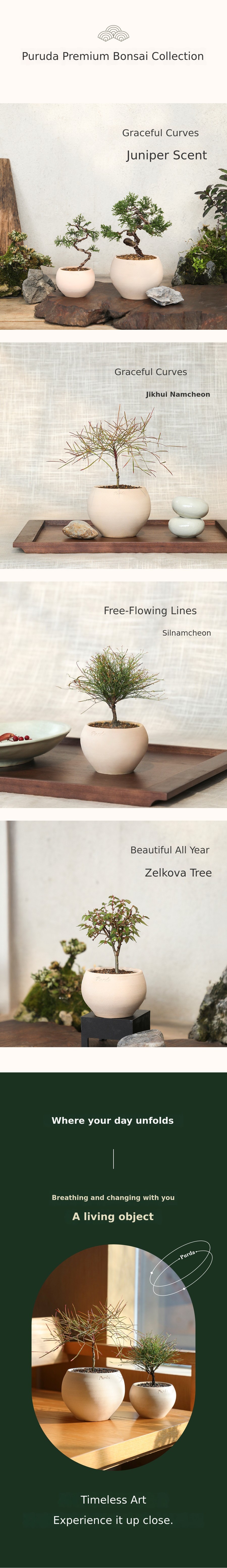 [100K+] Ding Dong! Spring Bliss Pureuda Miniature Tree x Pastel Pot ...
