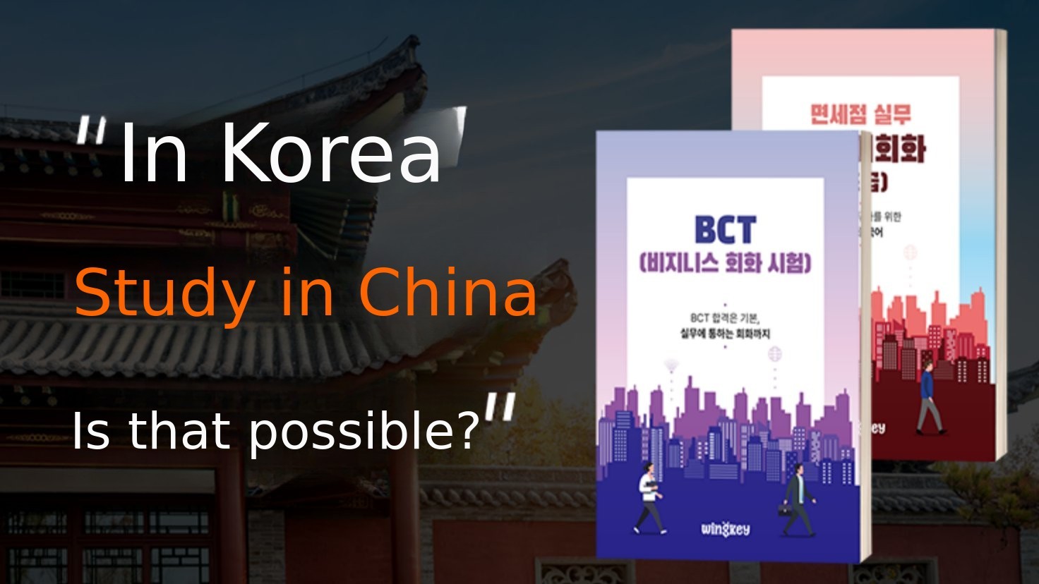 Fly-Free China Study: Native Video Chat + AI Solution [Eartalk]
