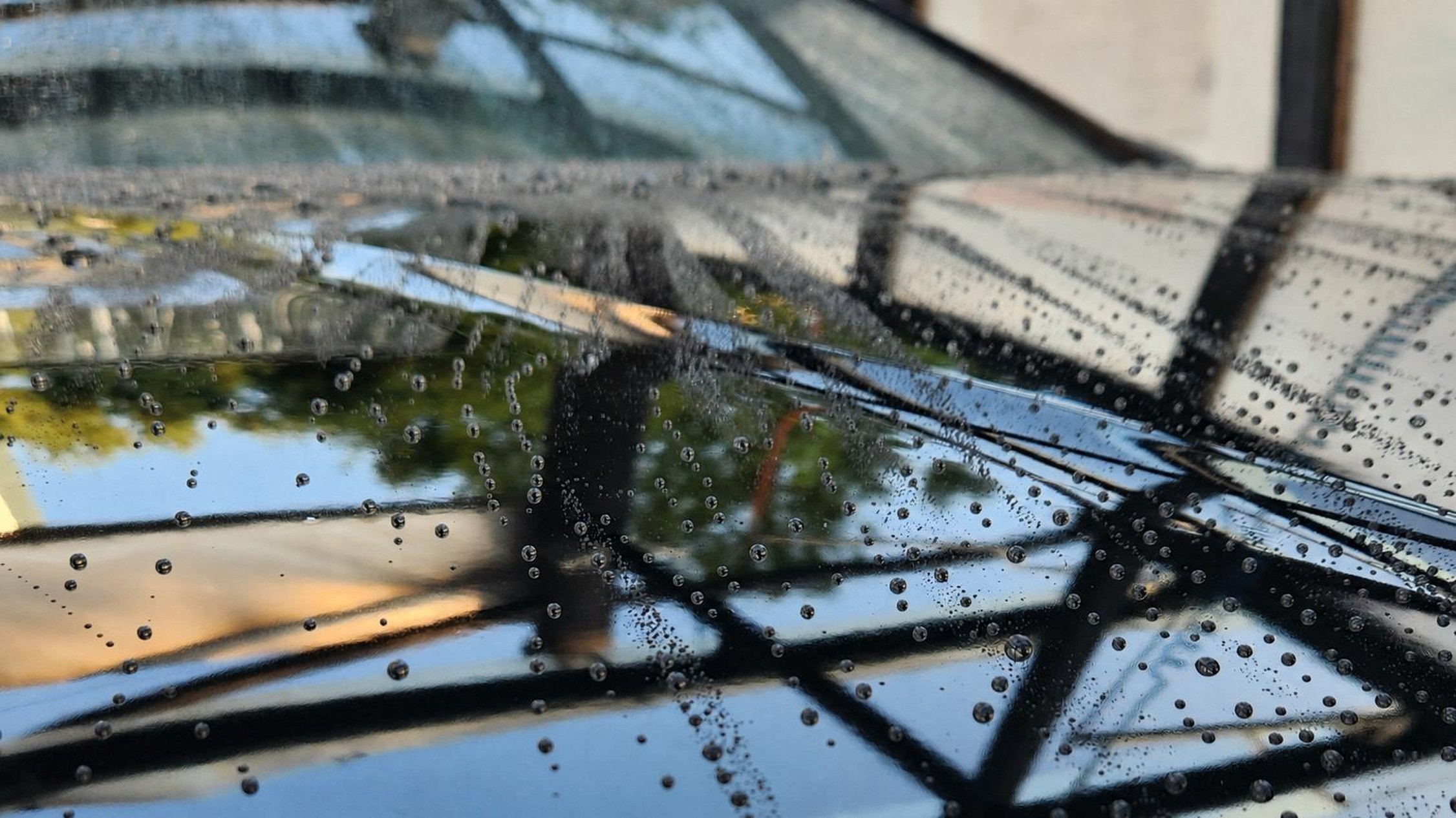 [Wax Coating] Just Spray and Go—Even Beginners Can Nail It!