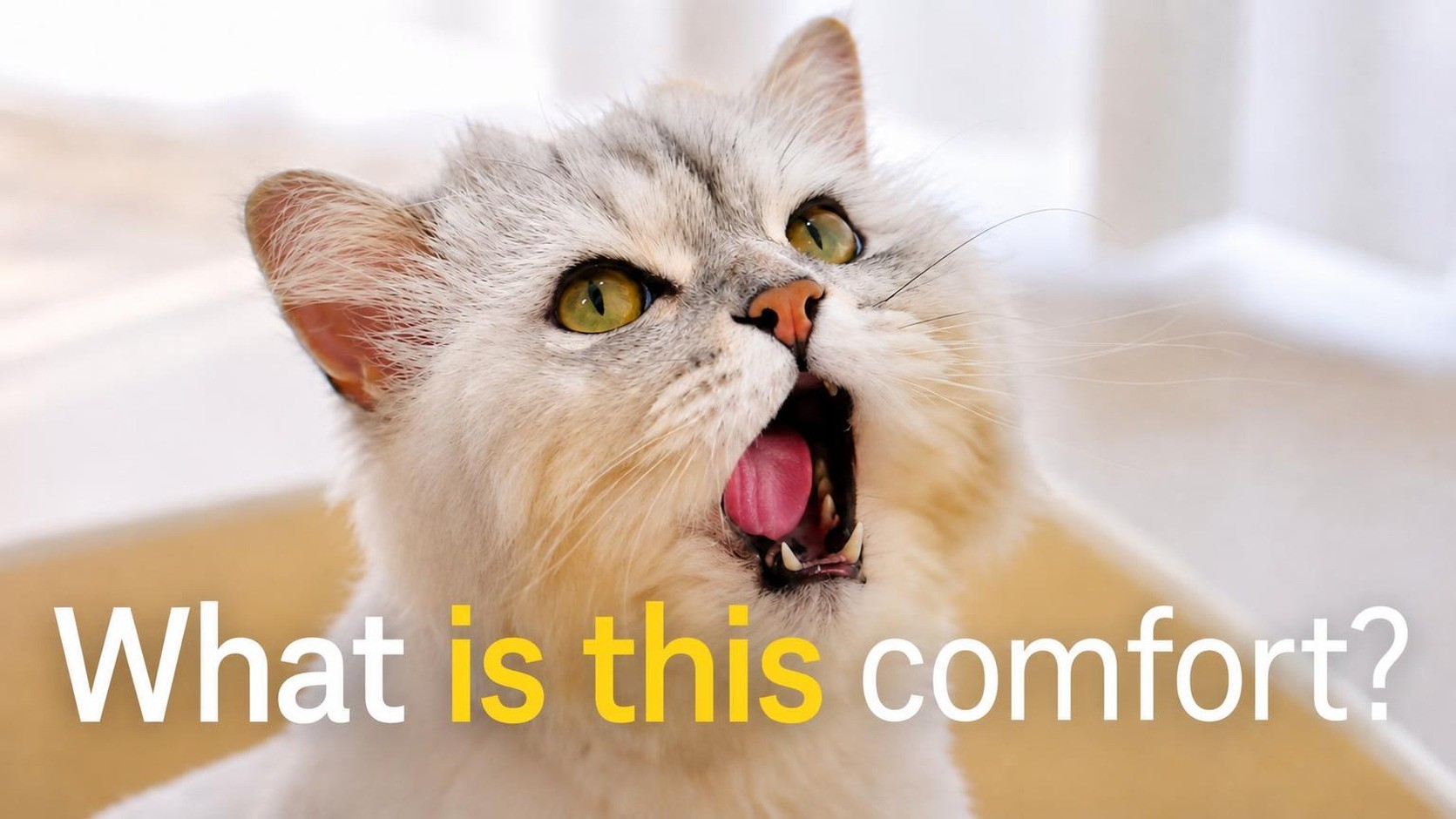 [4873% Encore] Revolutionary Popcorn Tofu Litter Loved by Japanese Cat Owners