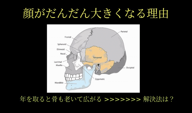 2mb_귀_얼굴커지는이유.gif