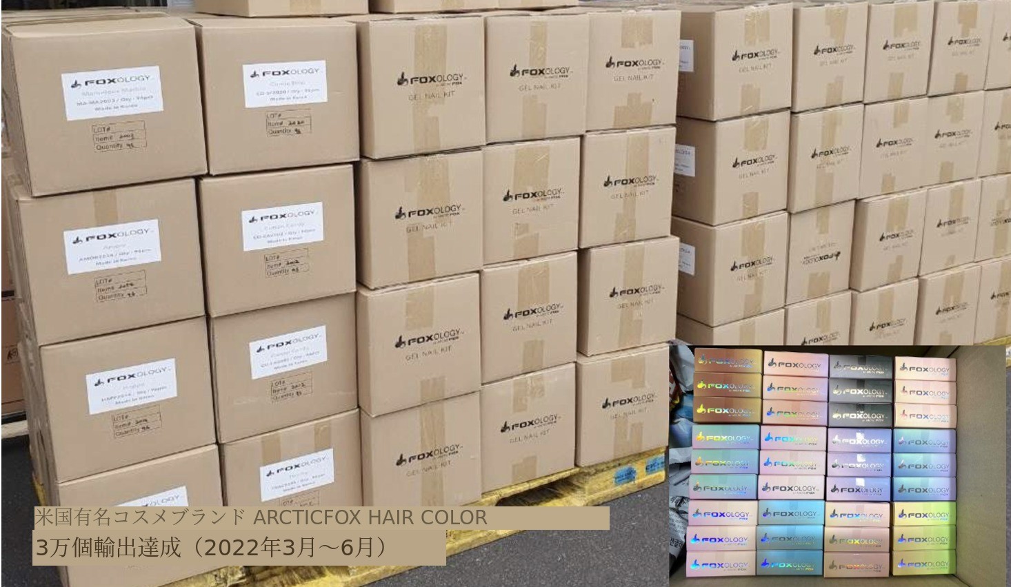 이미지 설명이 없습니다.