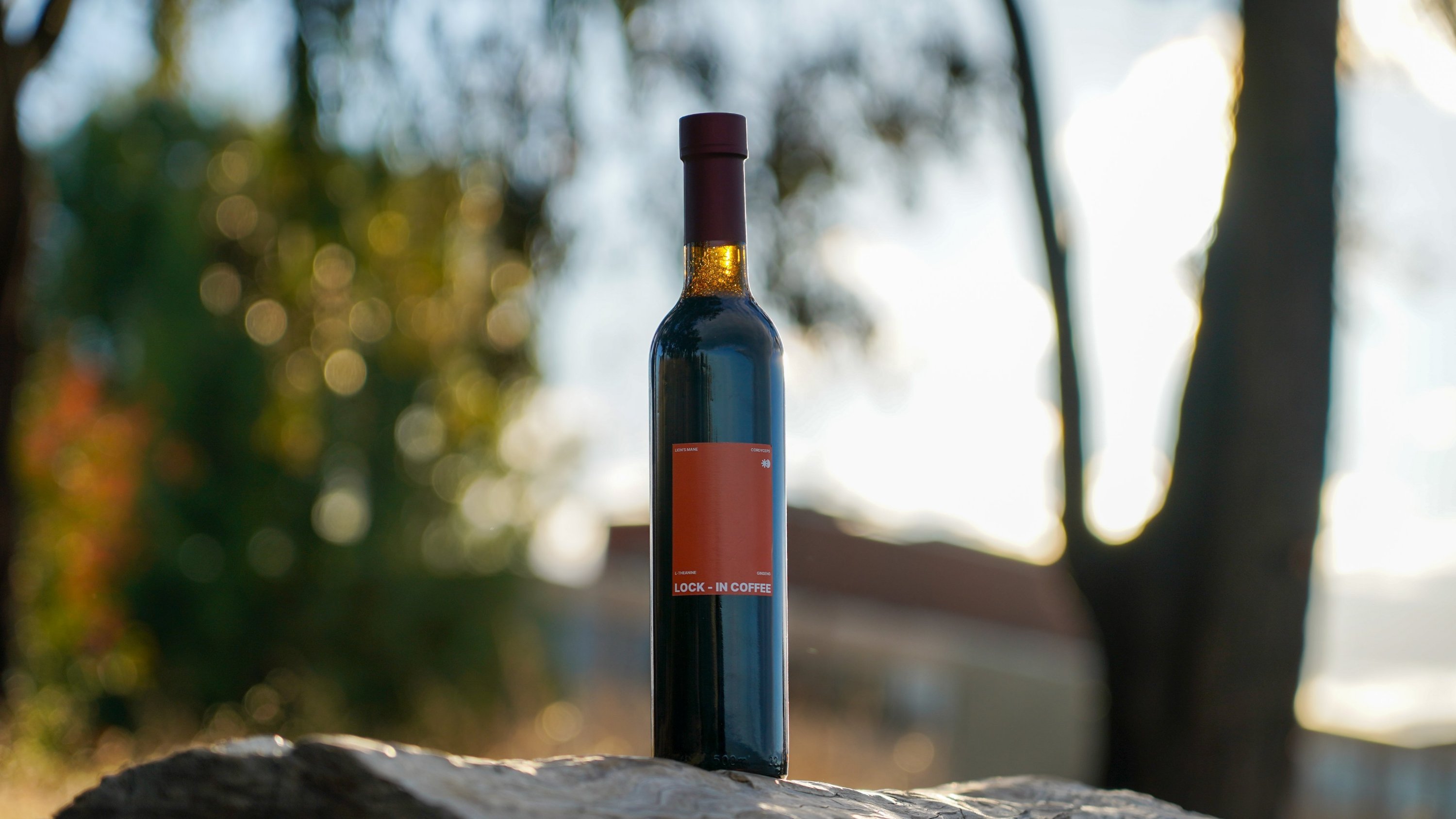 ☕ 集中力アップ！ぐっすり眠れる、体をリセットするデカフェきのこコーヒー