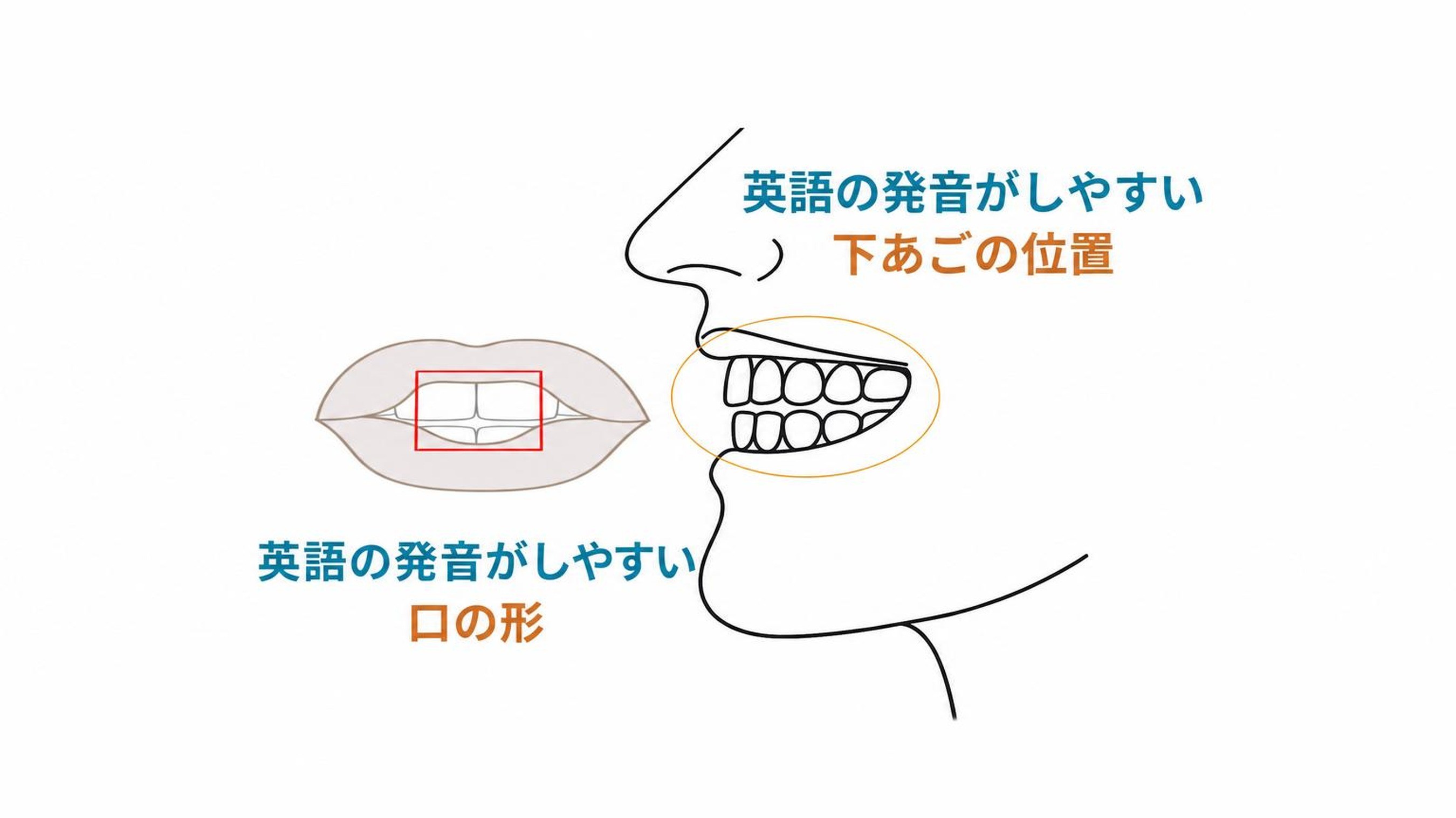 英語特許2件取得！会話と発音を短期間で革新的にマスター