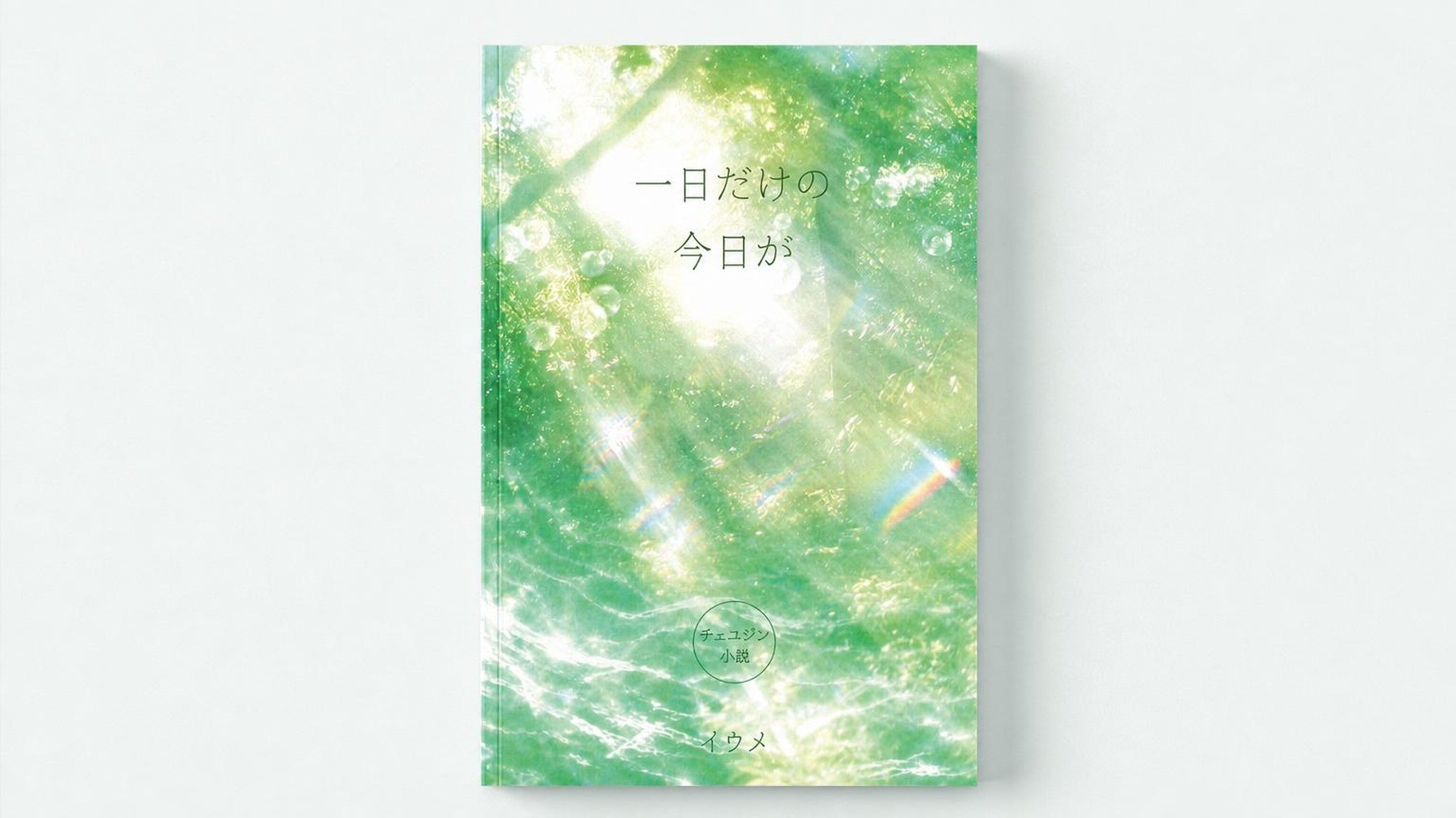10年続く夢、小説『一日だけの今日』
