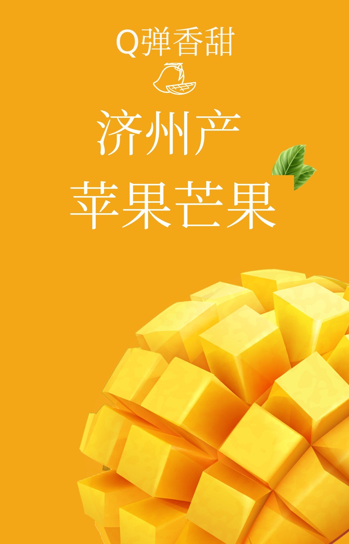 이미지 설명이 없습니다.