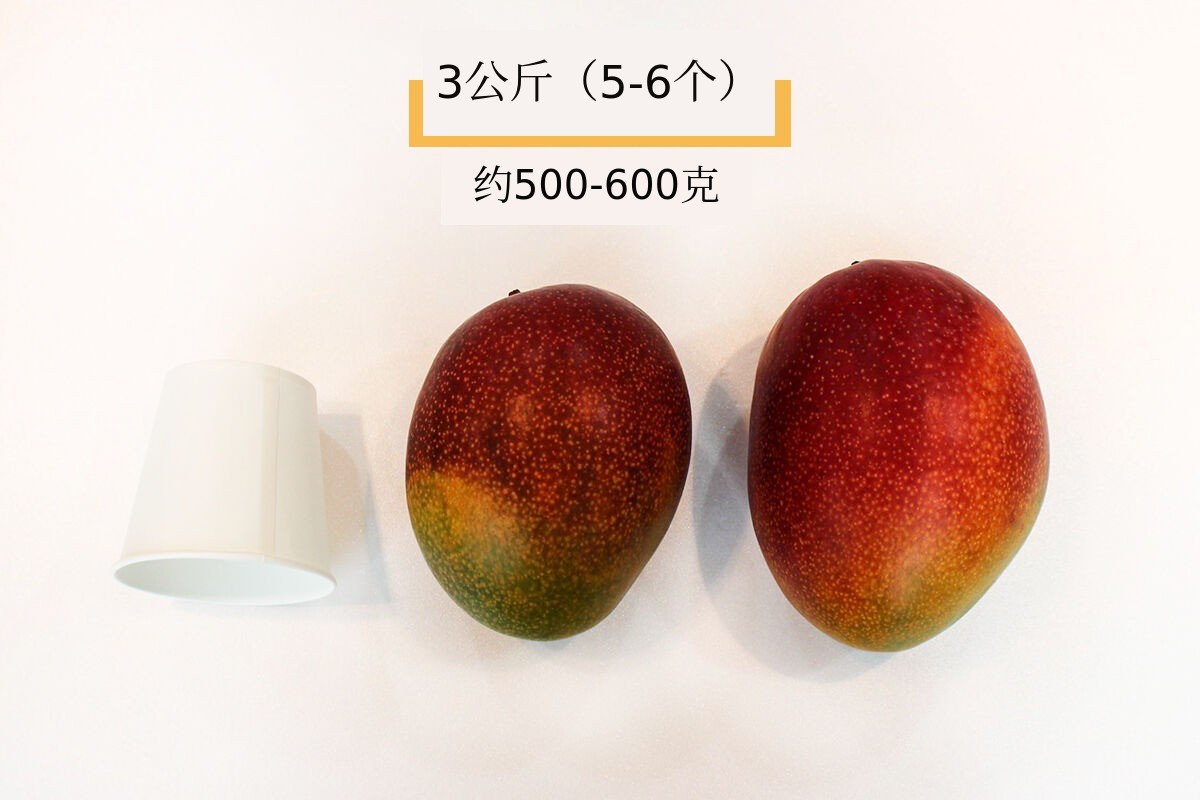 이미지 설명이 없습니다.