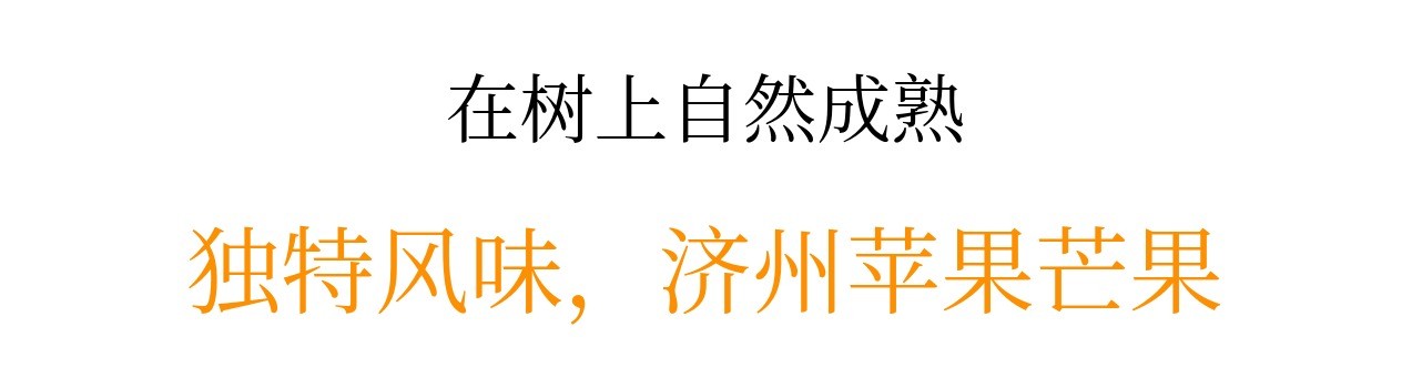 이미지 설명이 없습니다.