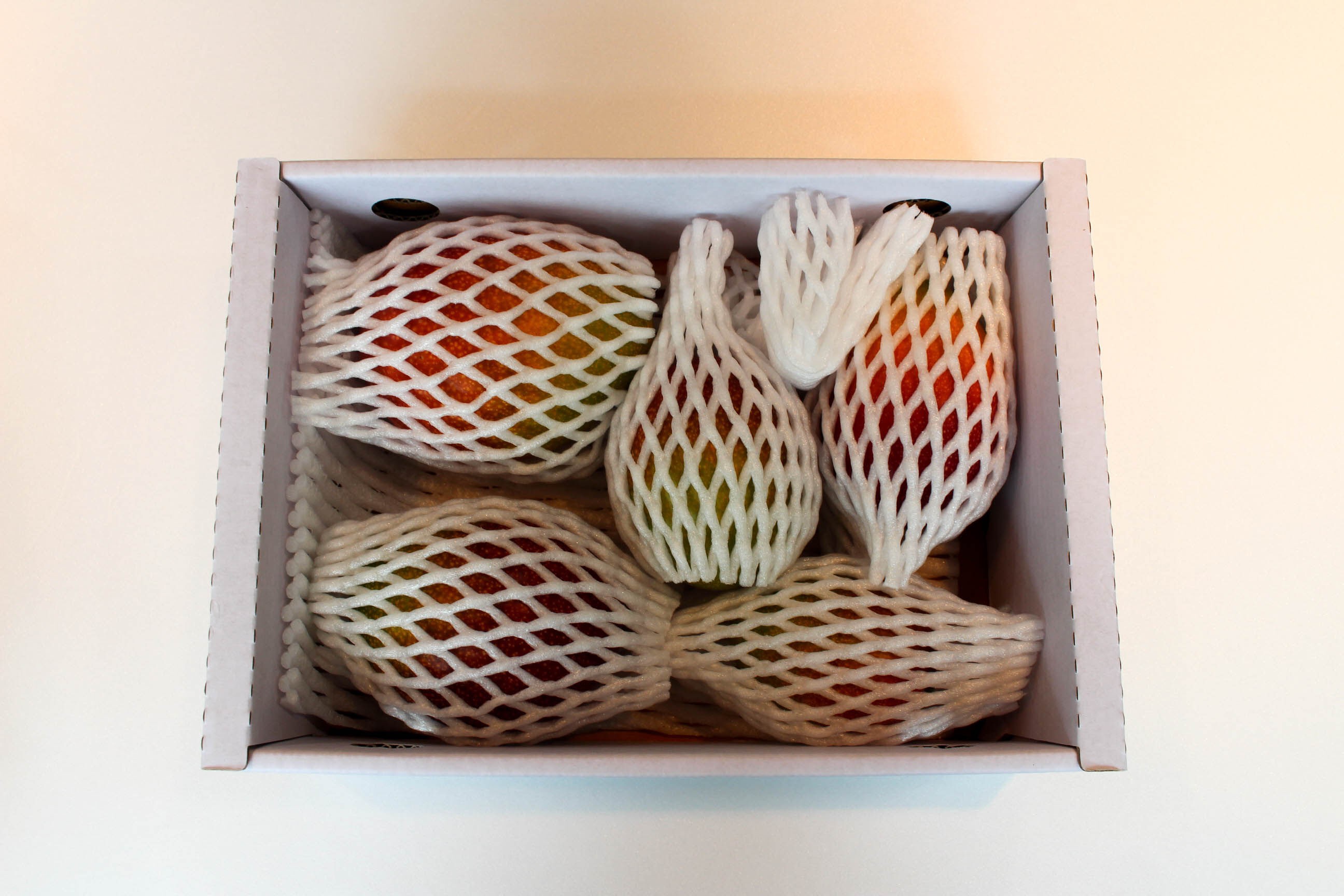 이미지 설명이 없습니다.