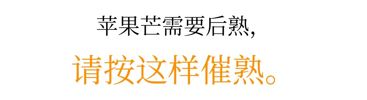 이미지 설명이 없습니다.